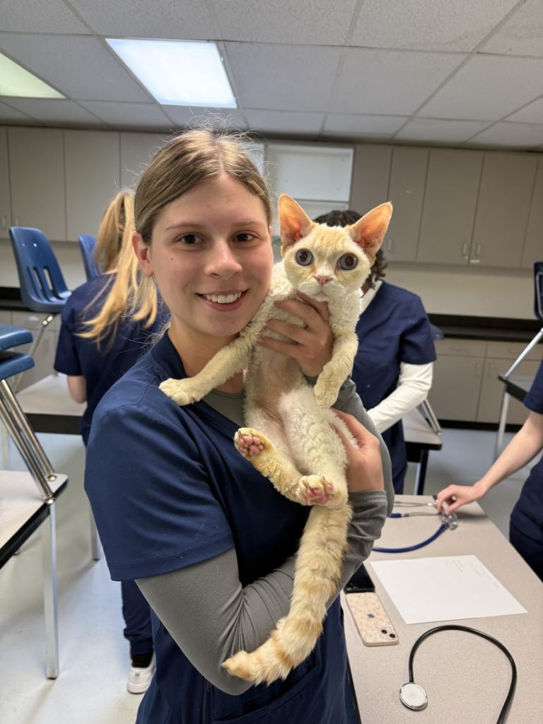 Smiling vet tech student holding a cat on her shoulder in the campus clinic