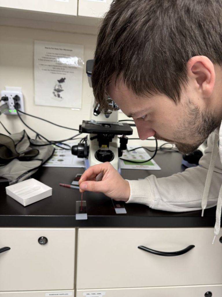 Vet tech student preparing a slide at the microscope