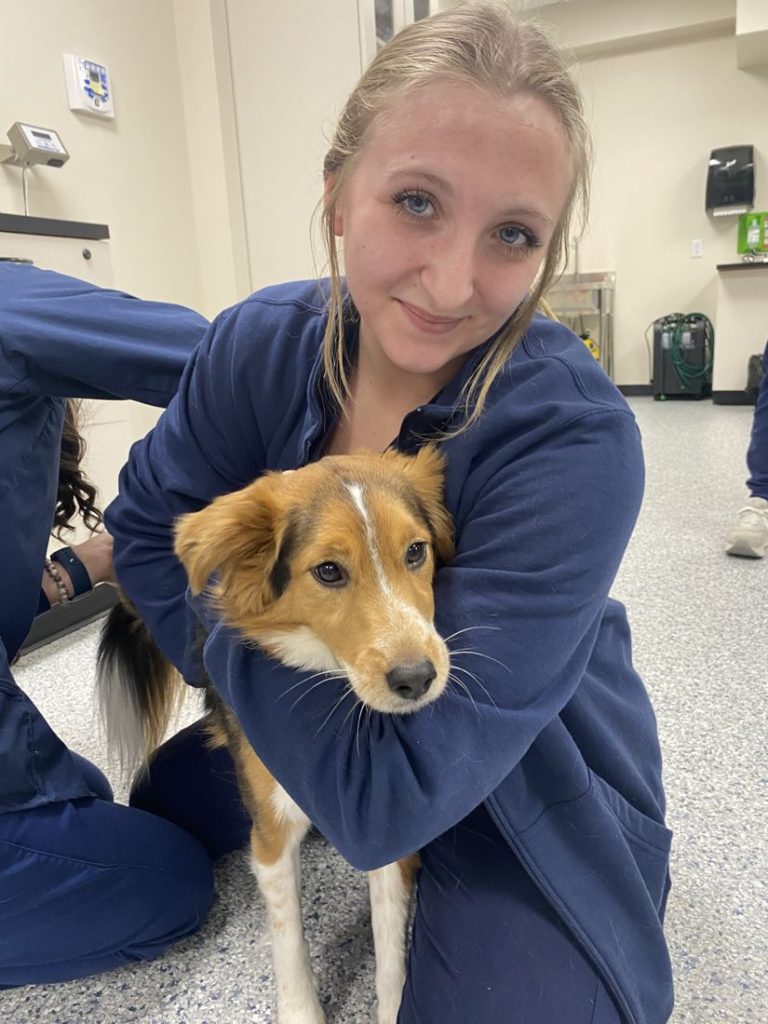 Vet tech student hugging a sheltie puppy